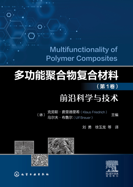 多功能聚合物复合材料（第1卷）前沿科学与技术