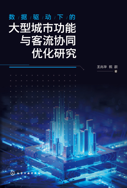 數據驅動下的大型城市功能與客流協同優化研究