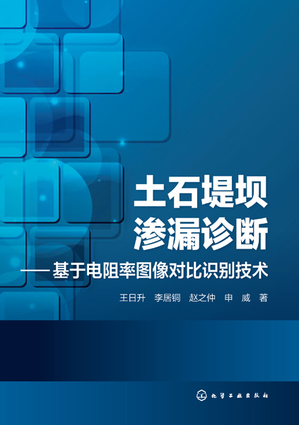 土石堤壩滲漏診斷——基于電阻率圖像對比識別技術