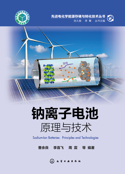 先進電化學能源存儲與轉化技術叢書--鈉離子電池：原理與技術