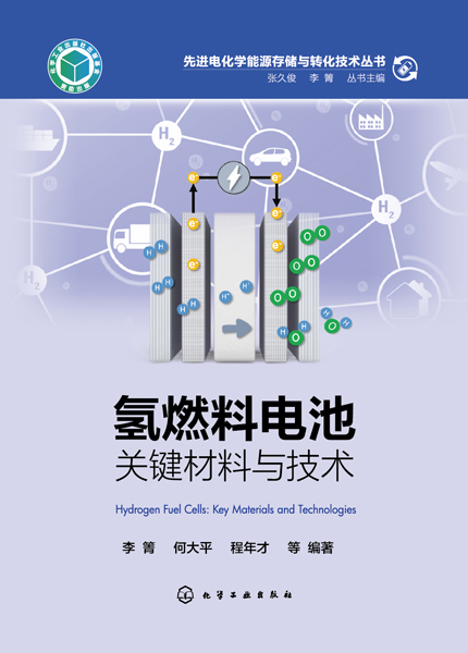 先進電化學能源存儲與轉化技術叢書--氫燃料電池：關鍵材料與技術