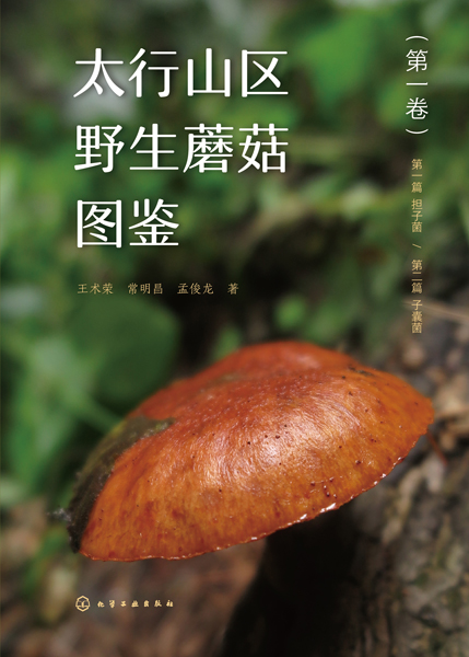 太行山区野生蘑菇图鉴（第一卷）