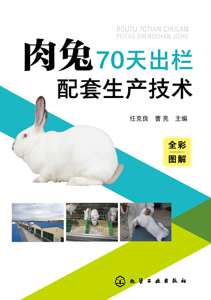 肉兔70天出栏配套生产技术