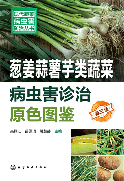 現代蔬菜病蟲害防治叢書--蔥姜蒜薯芋類蔬菜病蟲害診治原色圖鑒（第三版）