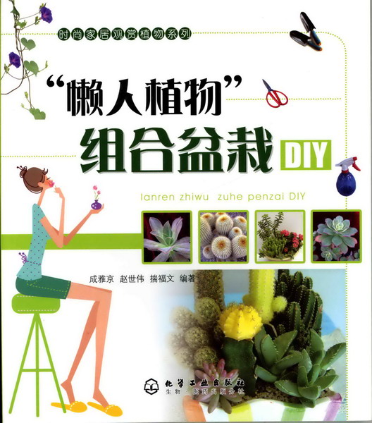 时尚家居观赏植物系列--“懒人植物”组合盆栽DIY