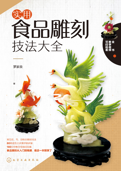 实用食品雕刻技法大全