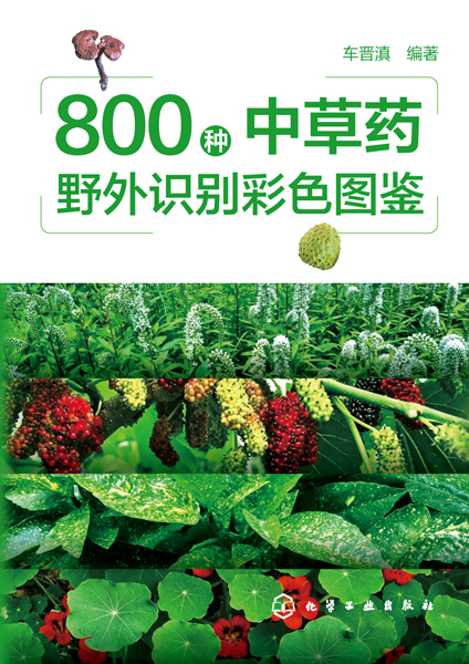 800种中草药野外识别彩色图鉴