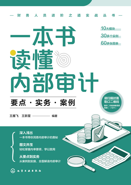 財務(wù)人員進階之道實戰(zhàn)叢書--一本書讀懂內(nèi)部審計：要點·實務(wù)·案例