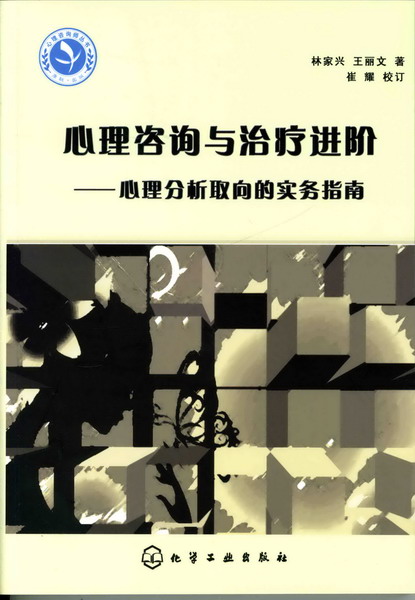 心理咨询师继续教育丛书--心理咨询与治疗进阶-心理分析取向的实务指南