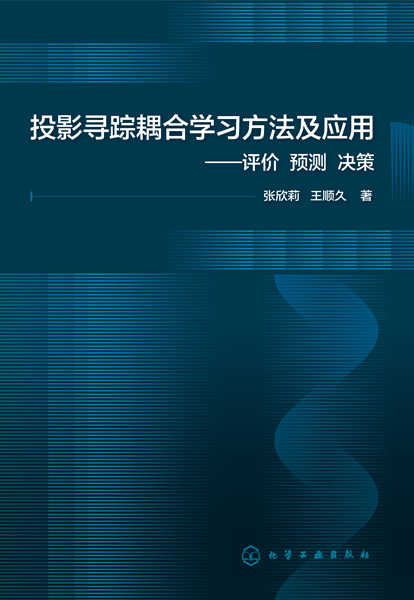 投影寻踪耦合学习方法及应用——评价 预测 决策