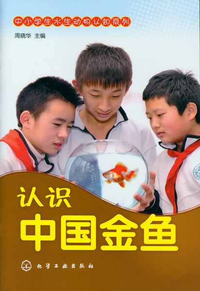 中小学生水生动物认知系列--认识中国金鱼