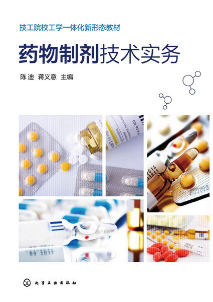 藥物制劑技術(shù)實(shí)務(wù)(陳迪)