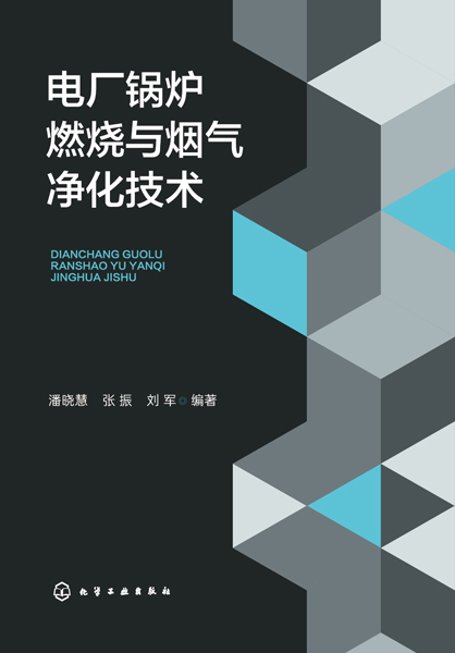 電廠鍋爐燃燒與煙氣凈化技術(shù)