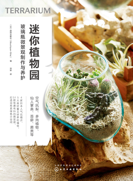 迷你植物園：玻璃瓶微景觀制作與養護